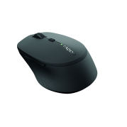 Rapoo M300 Wireless Optical Mouse
