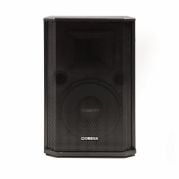 Omega 600W High Power Professional Stage Speaker