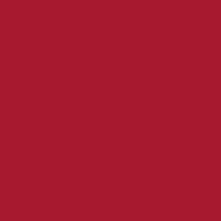 Cricut Smart Iron-on 33x273cm 1 sheet (Red)