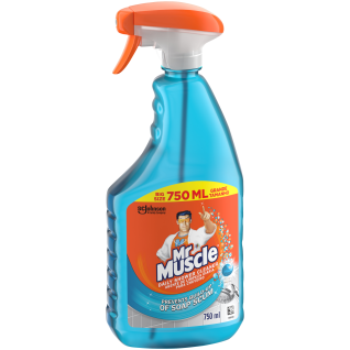 Mr Muscle Shower Shine Aqua Mist Trigger 750ml