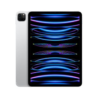 Apple iPad Pro 11inch 4th Gen Cellular 2TB Silver