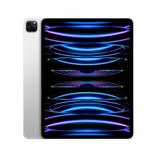 Apple iPad Pro 12.9inch 6th Gen Cellular 1TB Silver