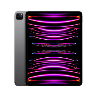 Apple iPad Pro 12.9inch 6th Gen Cellular 1TB Space Grey