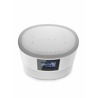 Smart Speaker 500 Luxe Silver
